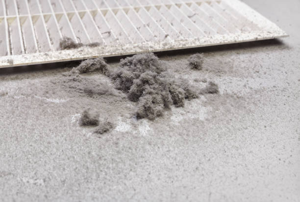 Best Air Duct Cleaning Near Me  in Branson, MO