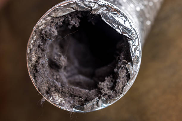 Best HVAC Air Duct Cleaning  in Branson, MO