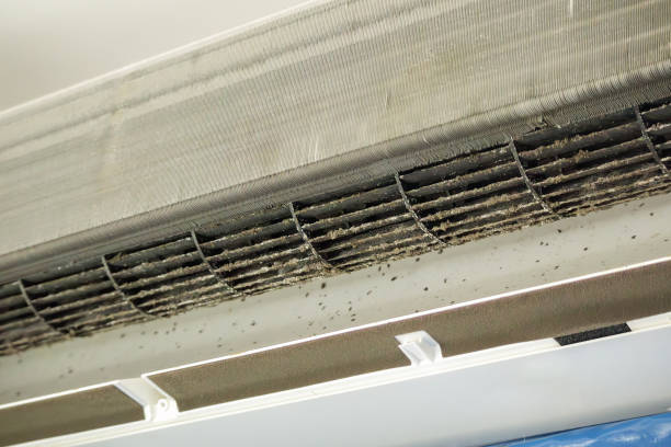 Best Professional Duct Cleaning Services  in Branson, MO